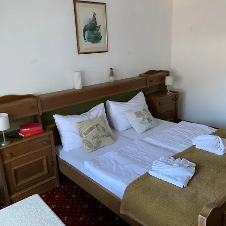 Gasthuis Panoramahotel Pawlik